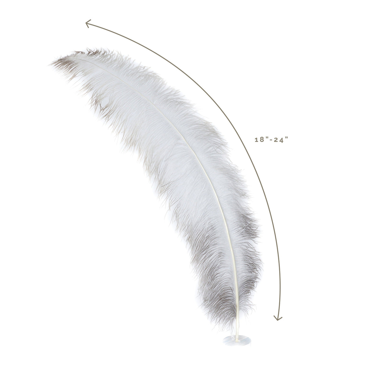 Large Ostrich Feathers - 18-24" Spads - Natural