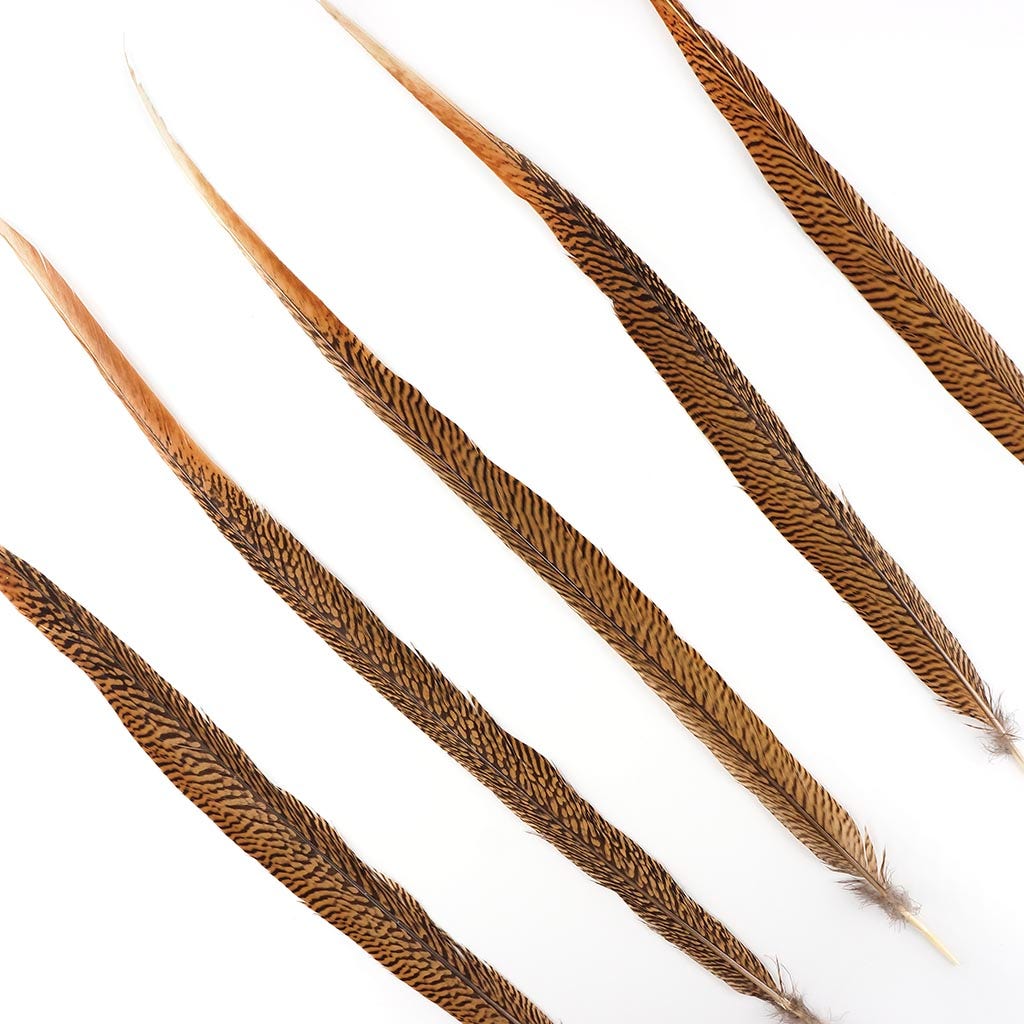 Bulk Golden Pheasant Tails Natural - 25" and Up