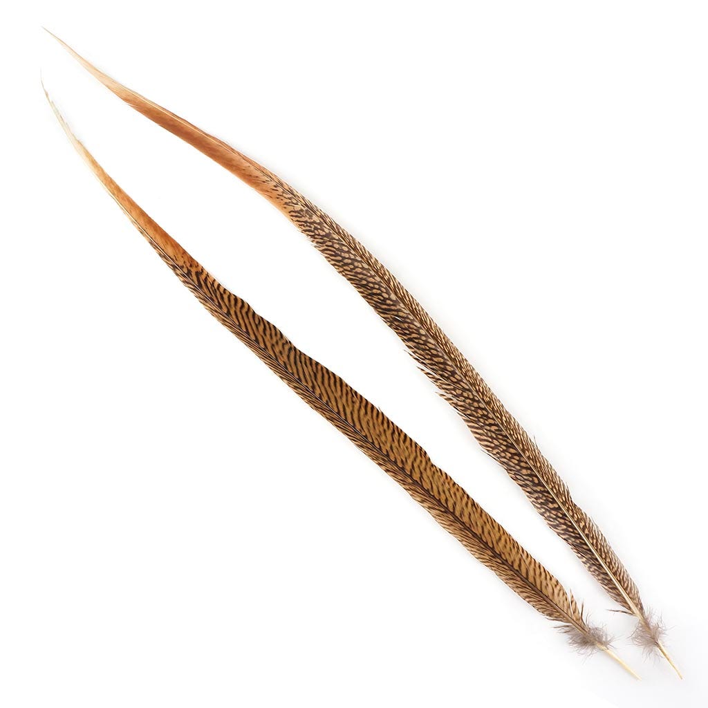 Bulk Golden Pheasant Tails Natural - 25" and Up