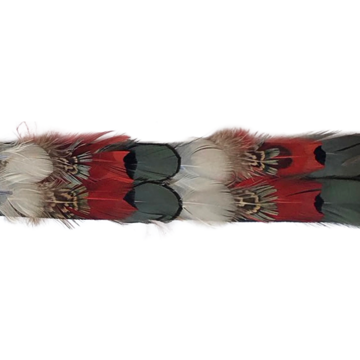 Natural Ringneck and Lady Amherst Pheasant Feather Tape 1.5 inch 3yd Roll