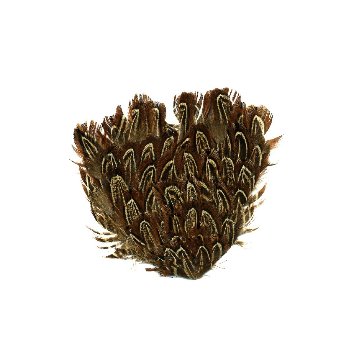 Almond Ringneck Feather Pad - Natural