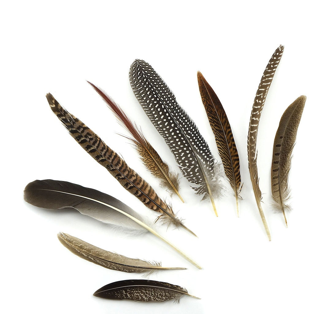 Assorted Guinea and Goose Rounds Quill & Pheasant Tails Natural