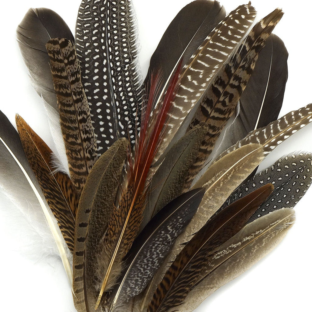 Assorted Guinea and Goose Rounds Quill & Pheasant Tails Natural