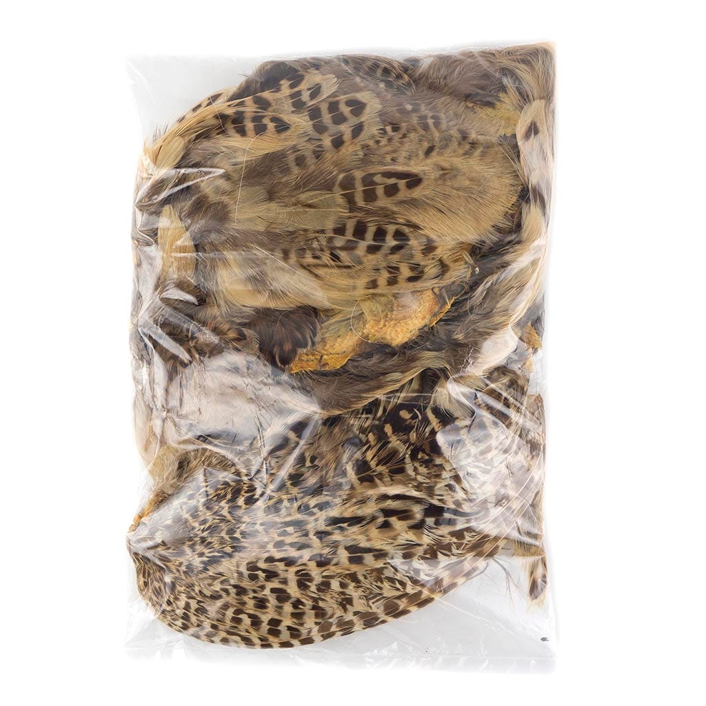 Ringneck Pheasant Hen Skin pieces