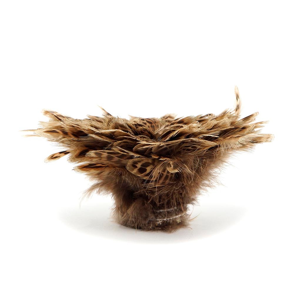 Ringneck Pheasant Plumage 1 YD Natural