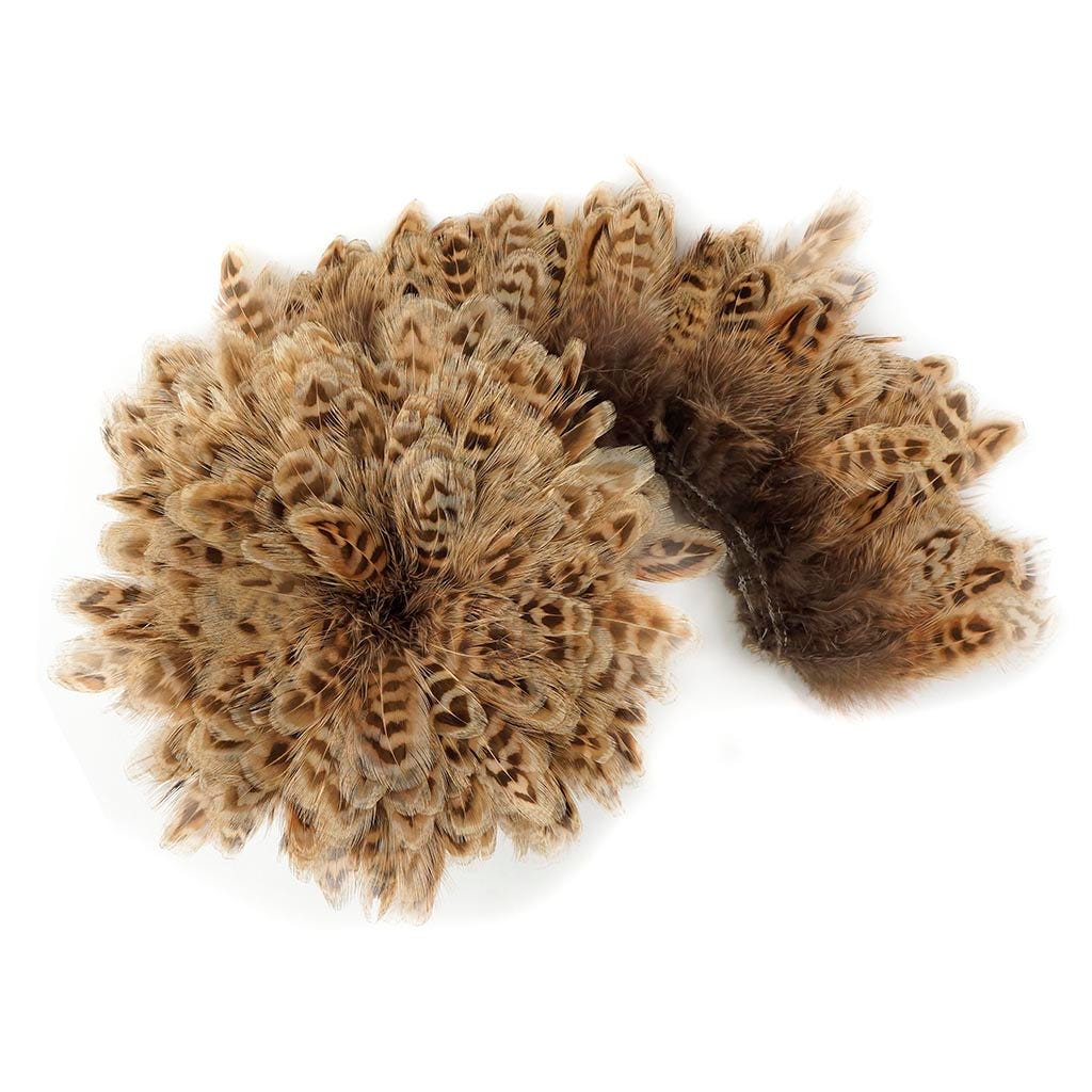 Ringneck Pheasant Plumage 1 YD Natural