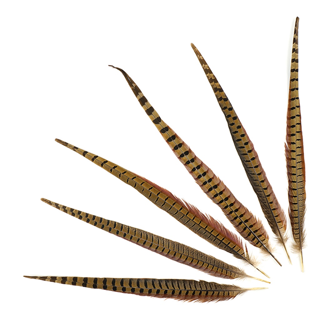 Bulk Ringneck Pheasant Tails - Natural - 18-20" (100pcs)