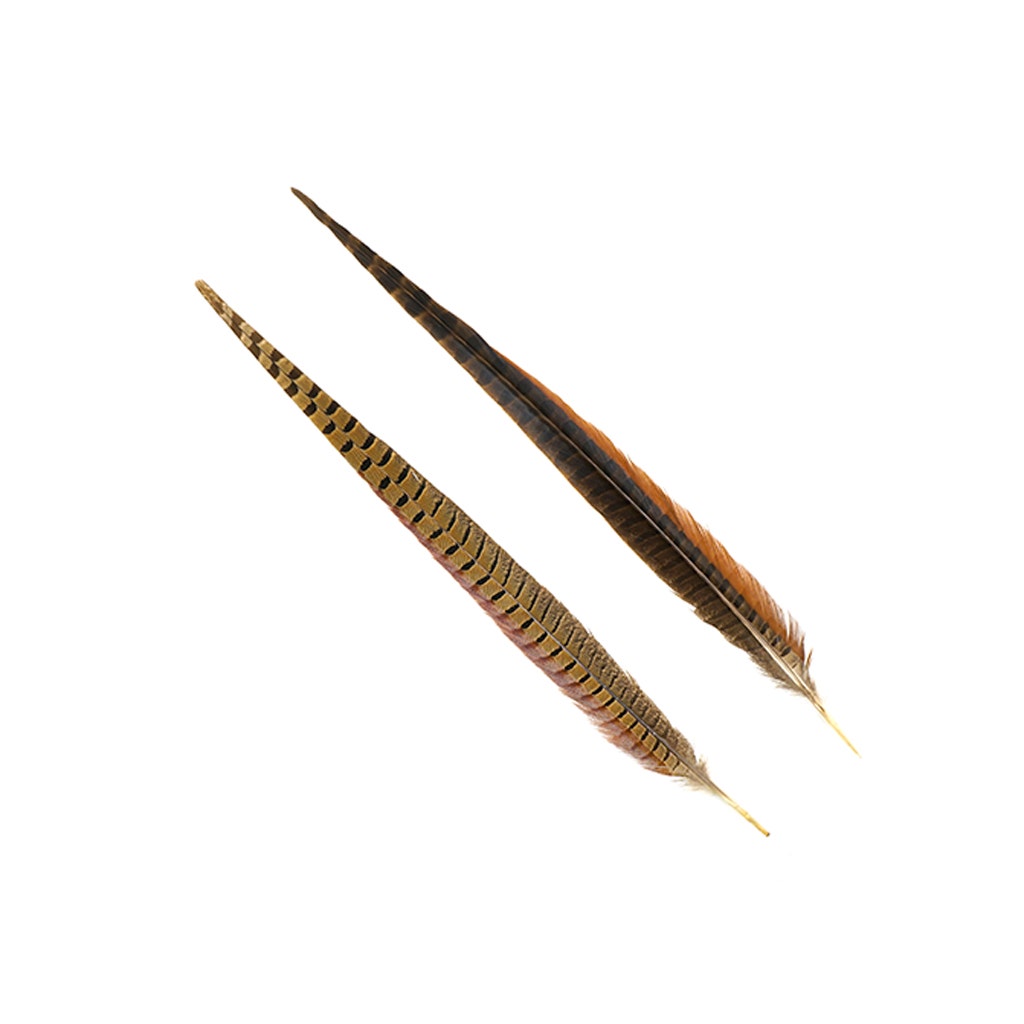 Bulk Ringneck Pheasant Tails - Natural - 18-20" (100pcs)