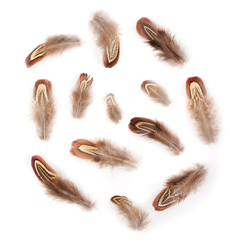 Almond Pheasant Plumage - Natural