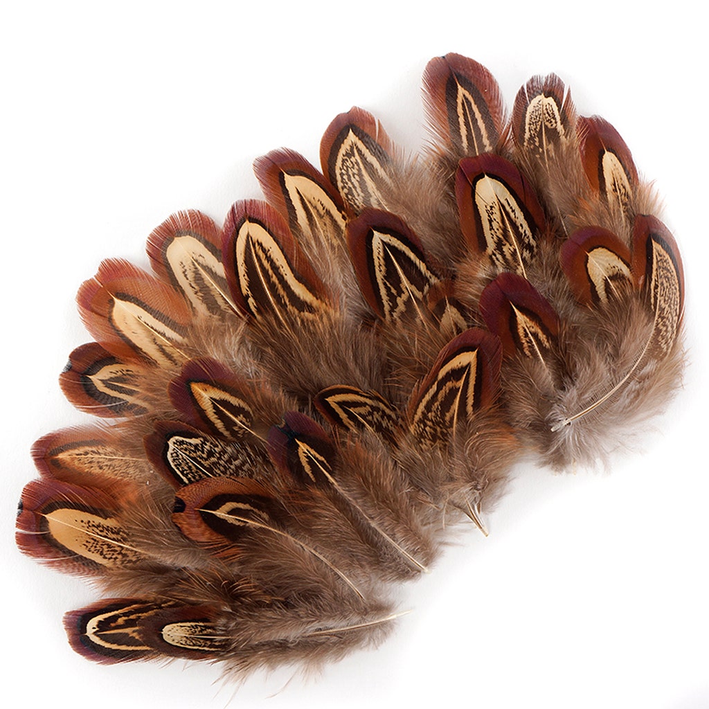 Almond Pheasant Plumage - Natural