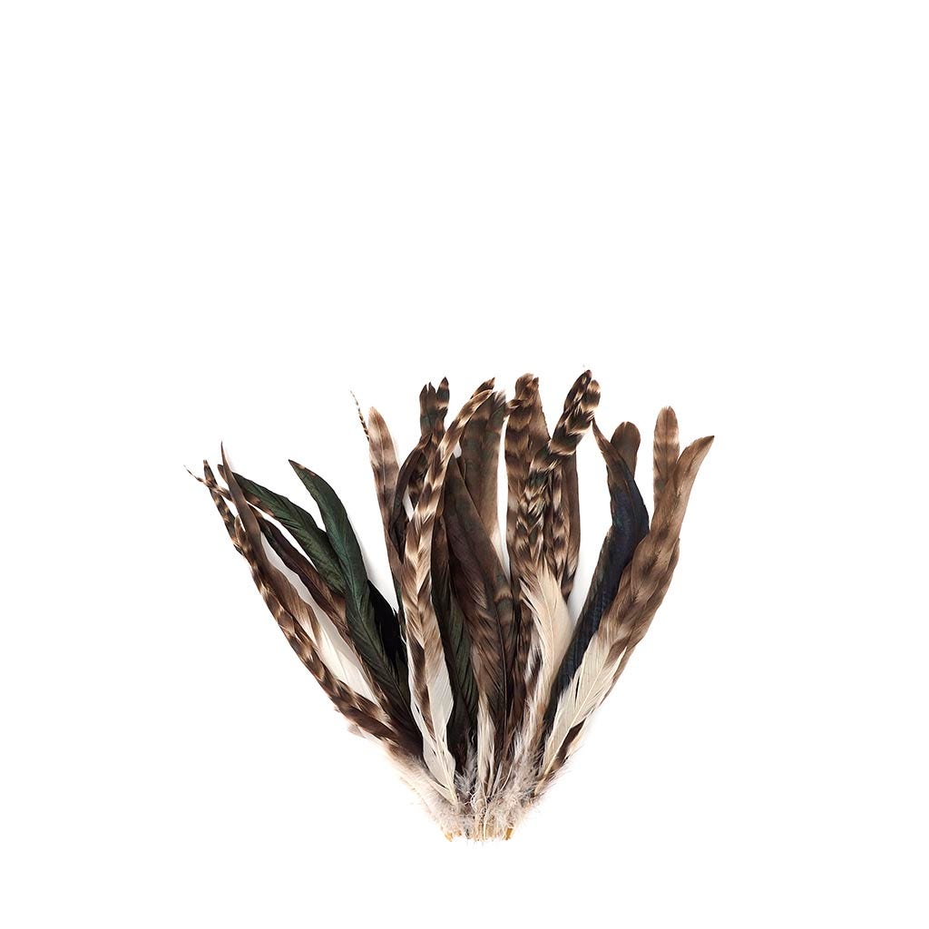 Rooster Coque Tails-Chinchilla - 9-12"