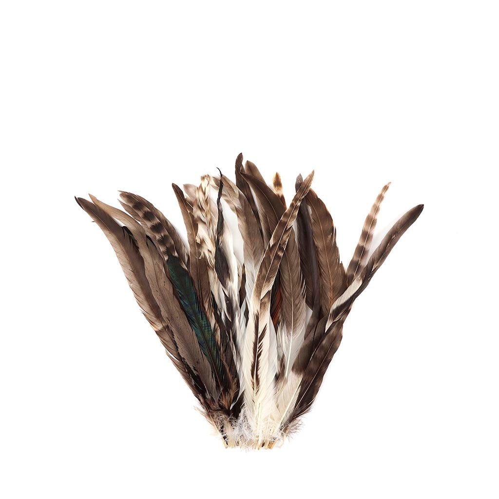 Rooster Coque Tails-Chinchilla - 11-14"