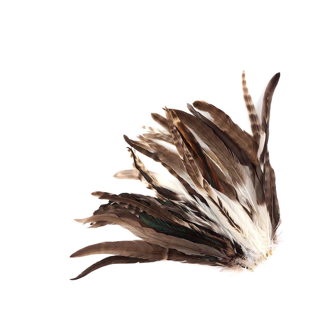 Rooster Coque Tails-Chinchilla - 11-14"