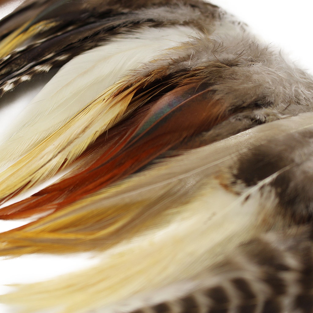 Natural Loose Rooster Saddle Feather 3-6" Assorted 100 pc