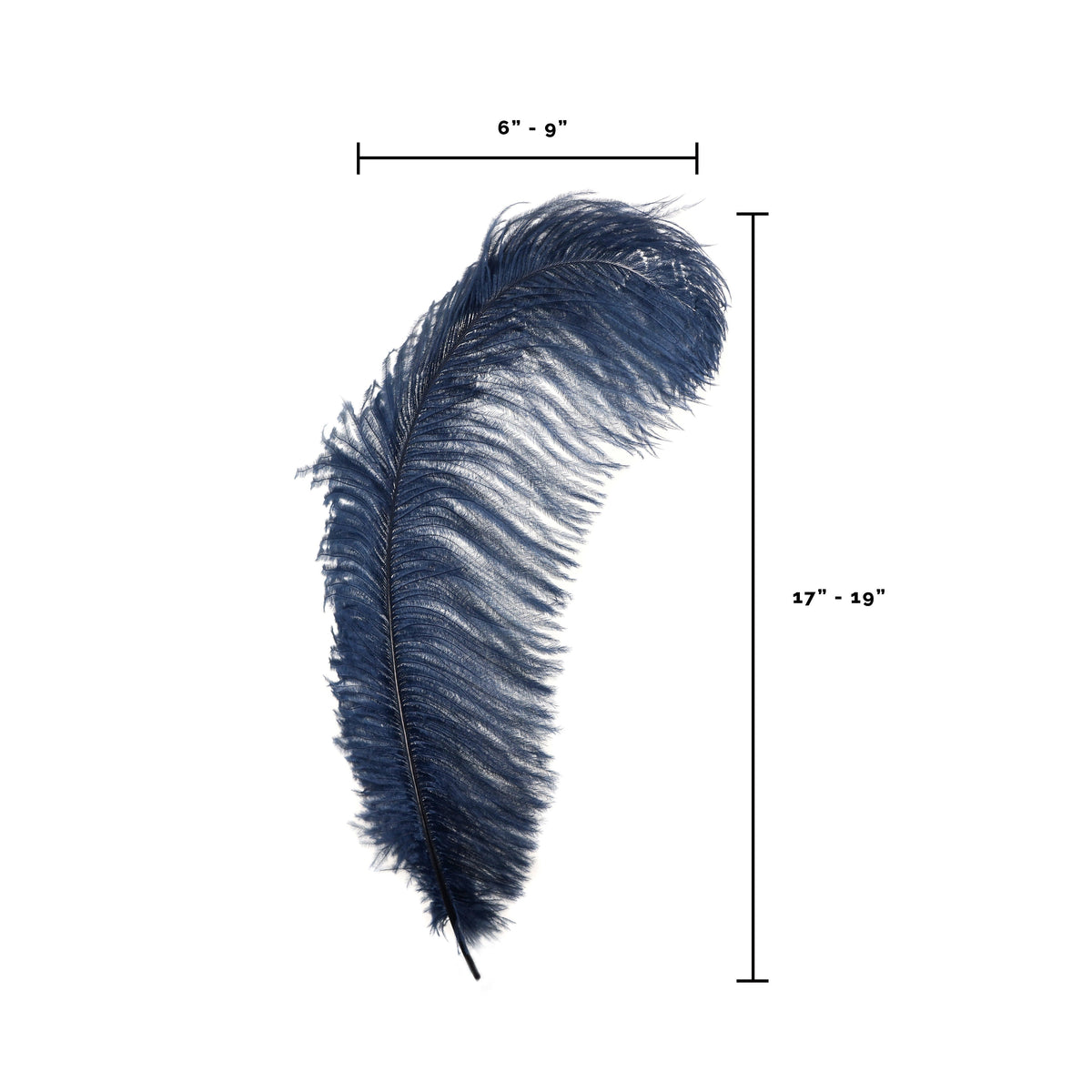 Large Ostrich Feathers - 17"+ Drabs - Navy