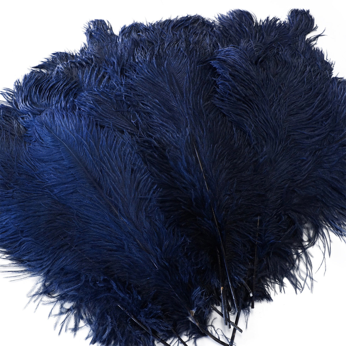 Large Ostrich Feathers - 17"+ Drabs - Navy