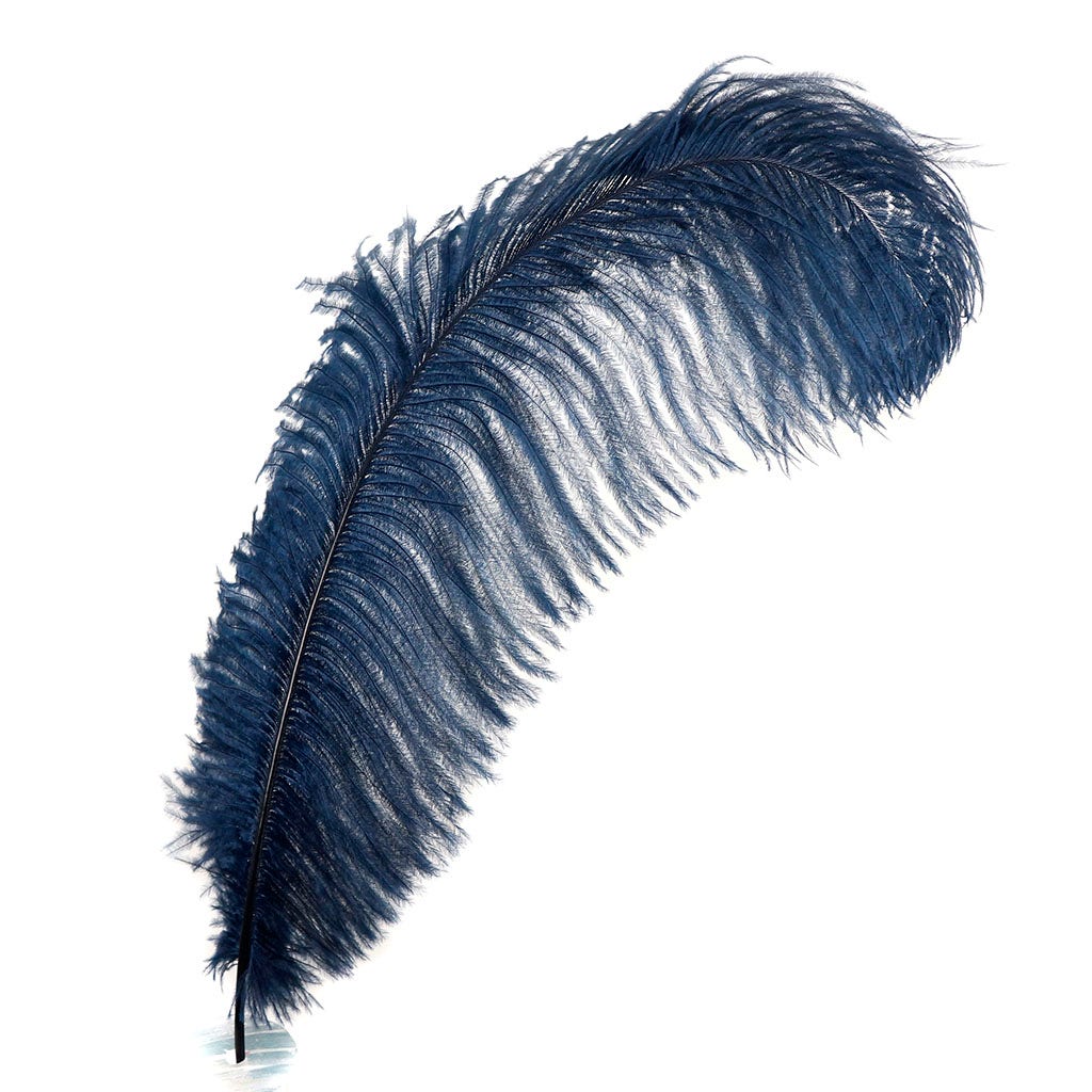 Large Ostrich Feathers - 17"+ Drabs - Navy
