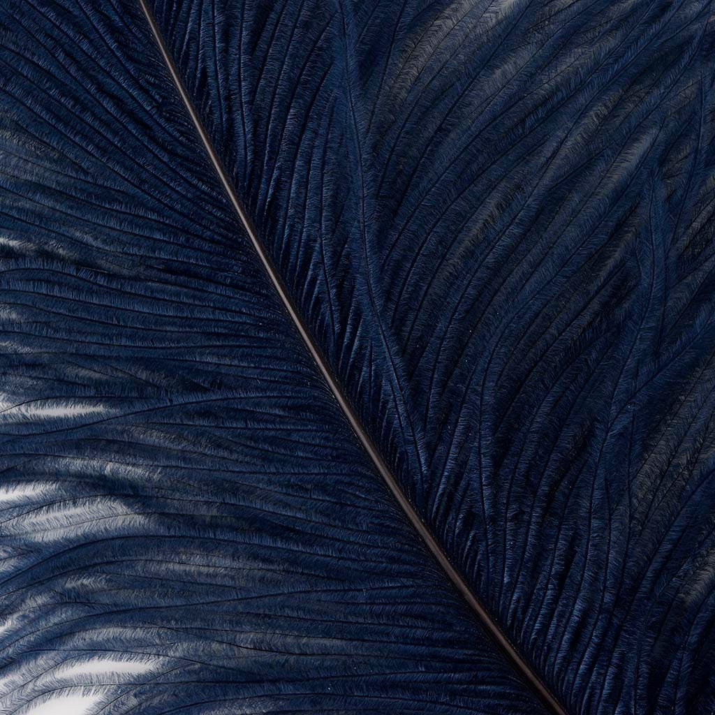 Large Ostrich Feathers - 20-25" Prime Femina Plumes - Navy