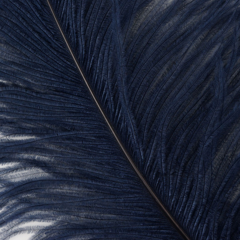 Large Ostrich Feathers - 20-25" Prime Femina Plumes - Navy