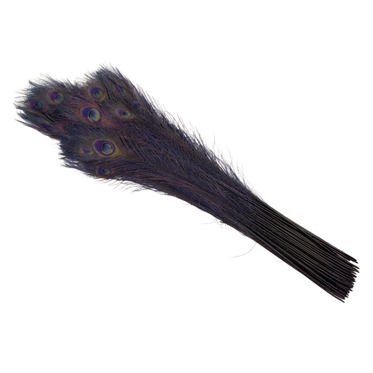 Peacock Tail Eyes Bleached Dyed  Feathers - 25 - 40" -Navy