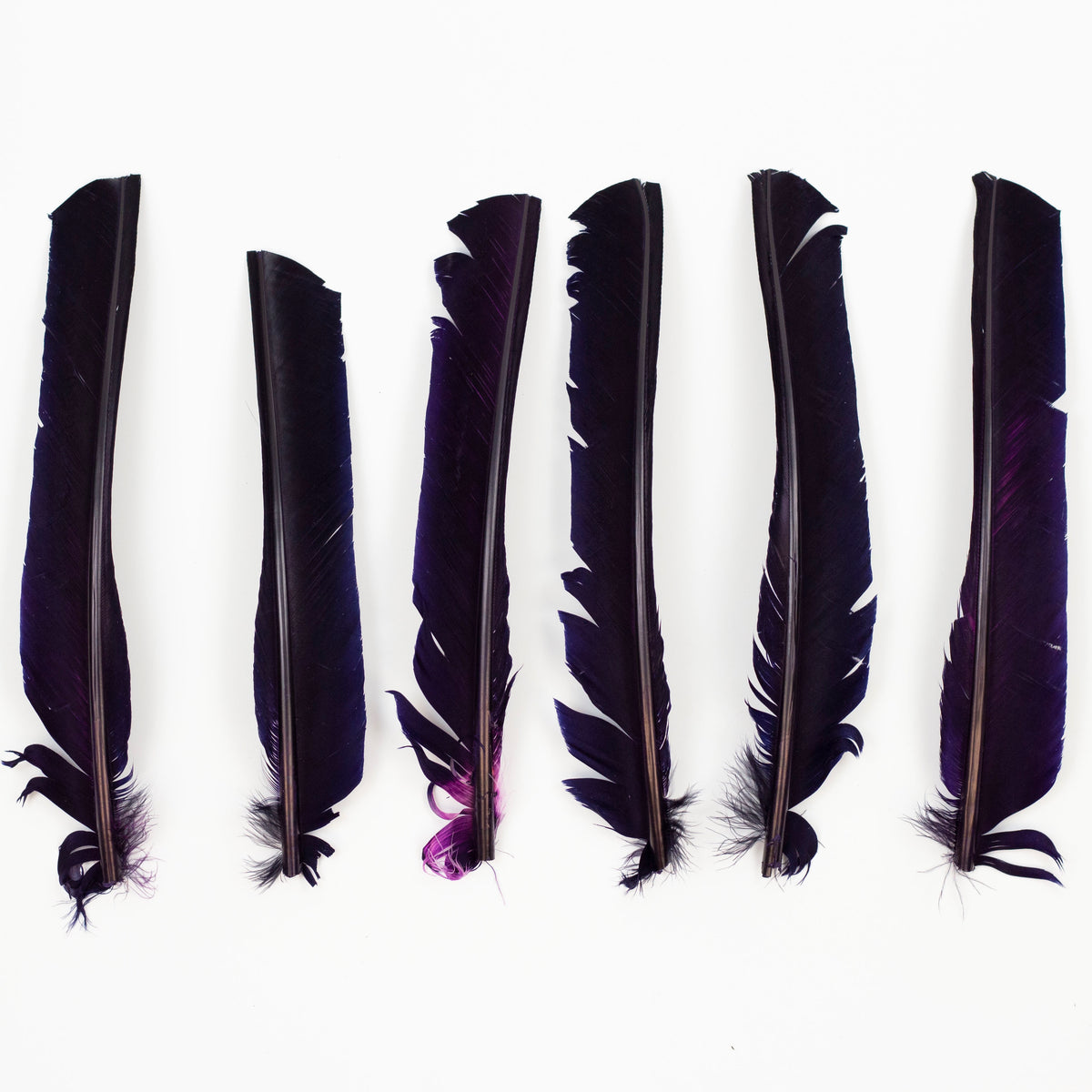 Navy Cut Turkey Pointer Feathers 8-12"