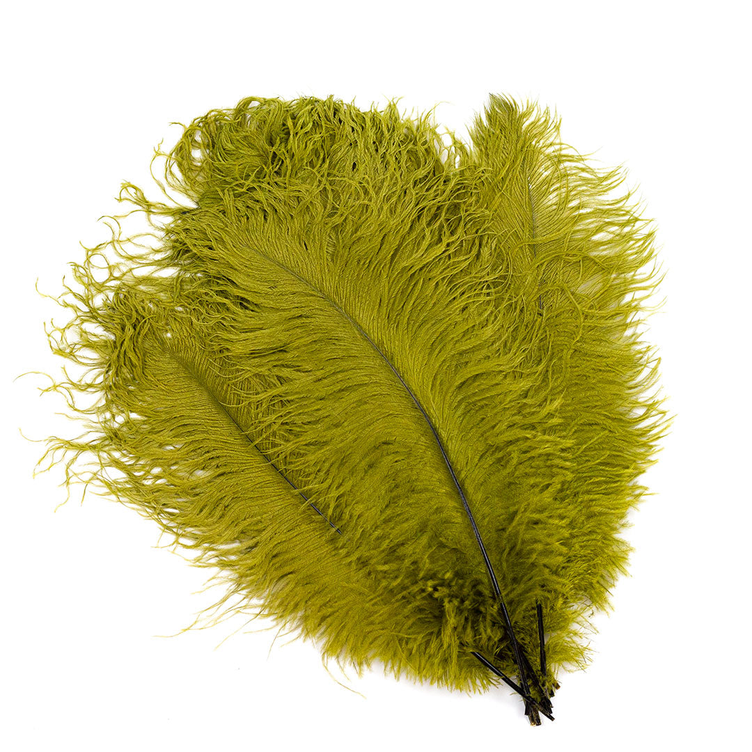 Large Ostrich Feathers - 17"+ Drabs - Olive