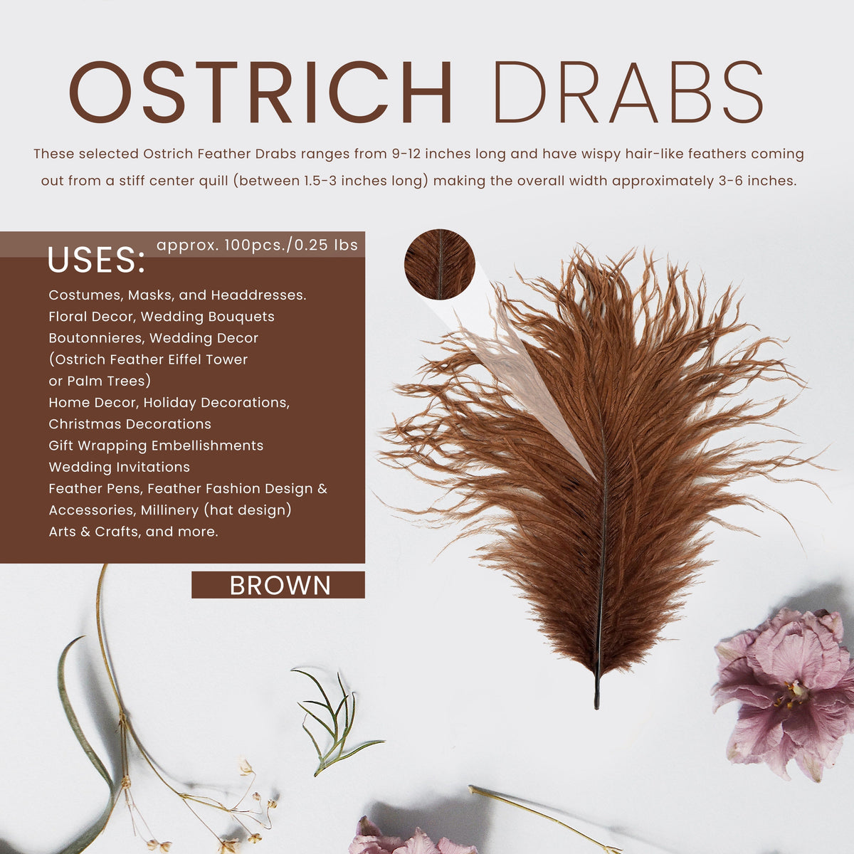 Ostrich Feathers 9-12" Drabs -  Brown