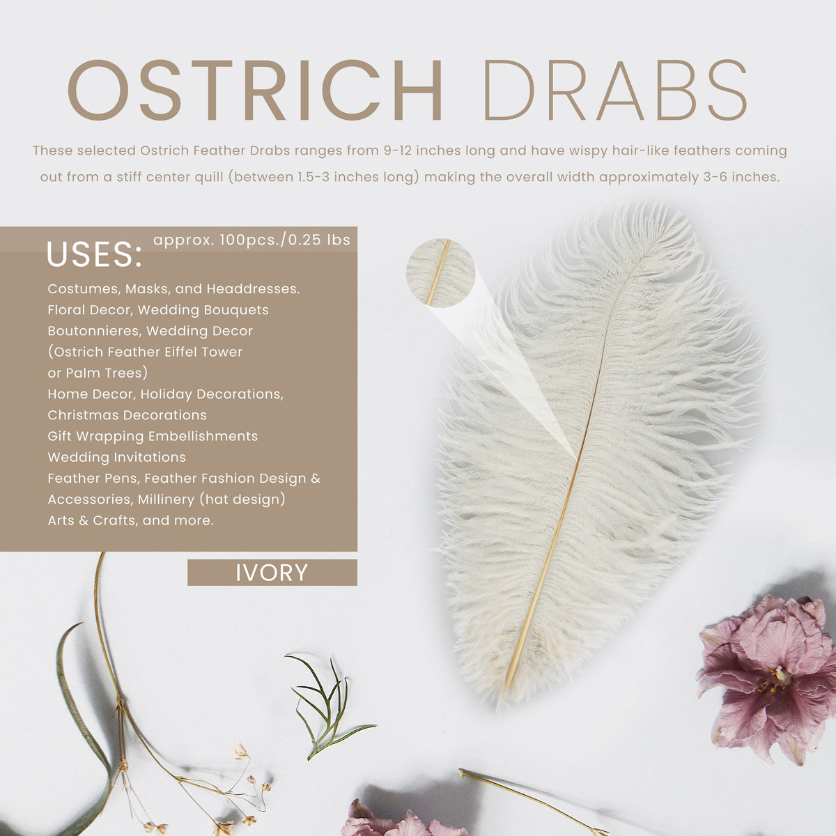Ostrich Feathers 9-12" Drabs - Ivory