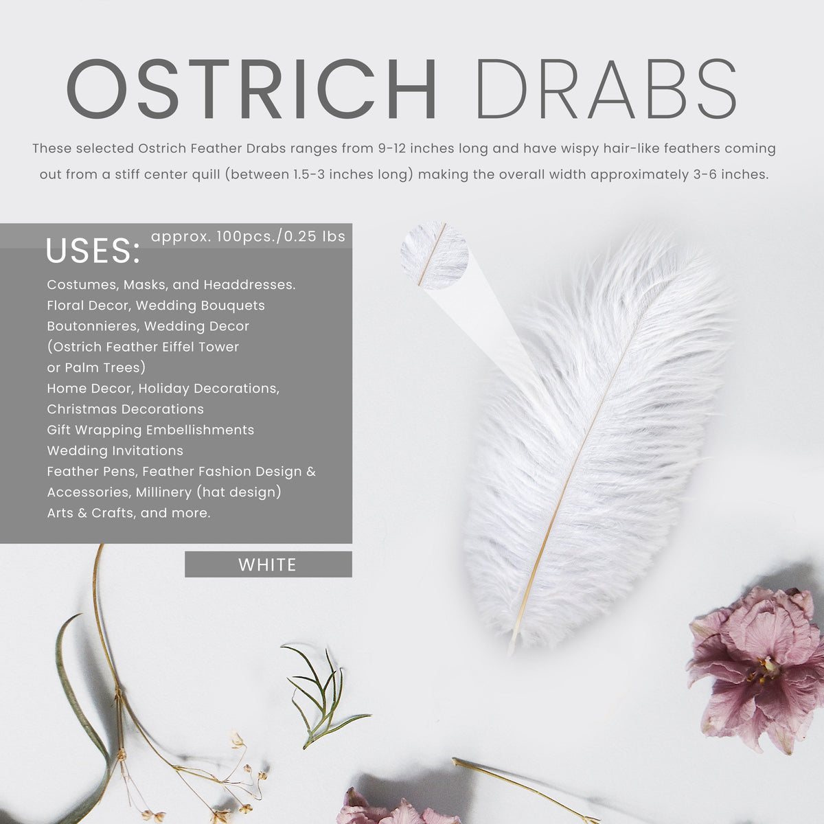 Ostrich Feathers 9-12" Drabs -  White