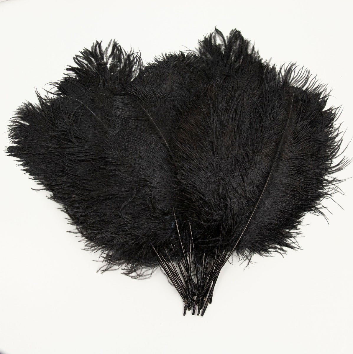 Ostrich Tails 16-18 inch  - 30 PC - Black