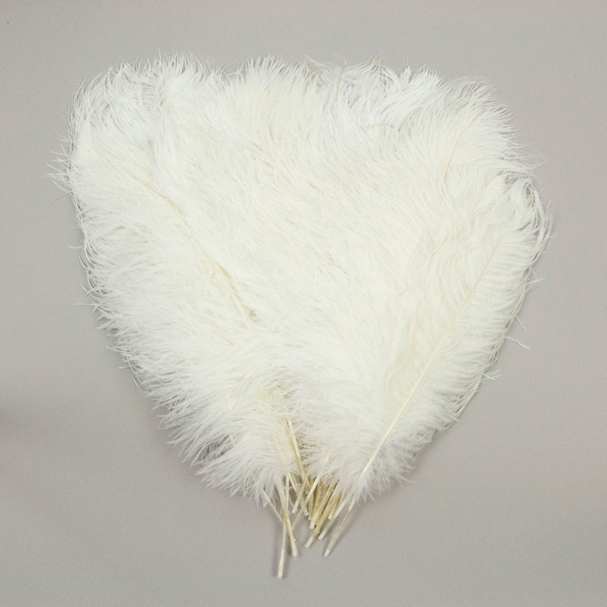 Ostrich Tails 16-18 inch  - 30 PC - White