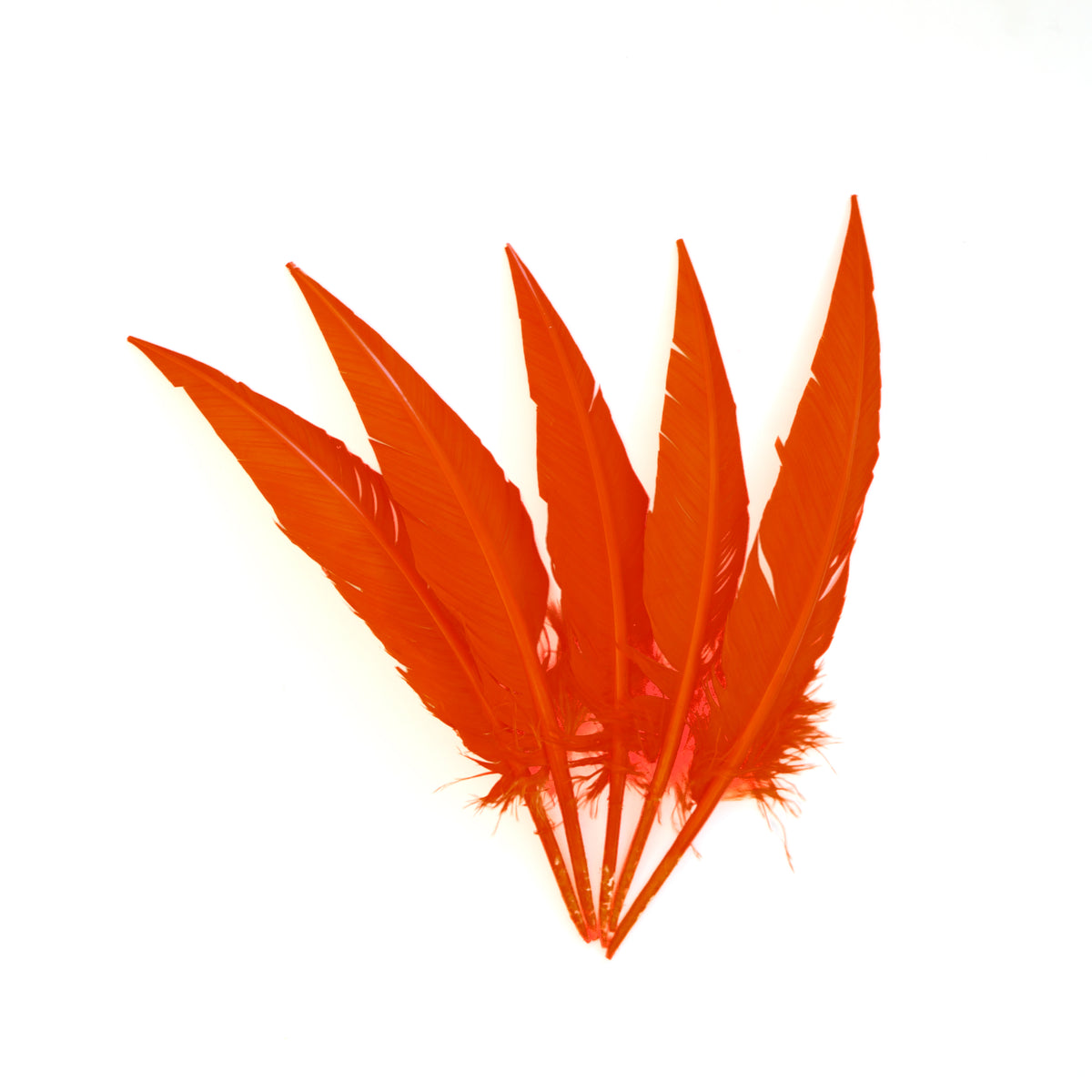 Orange Dagger Turkey Quill Feathers 9-12"