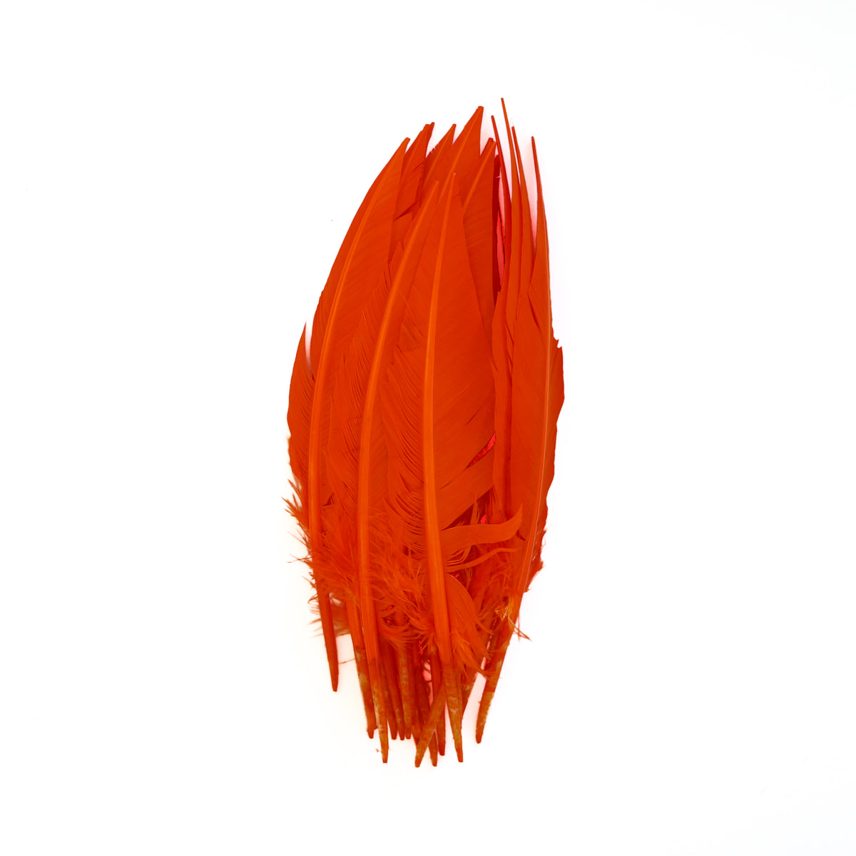 Orange Dagger Turkey Quill Feathers 9-12"