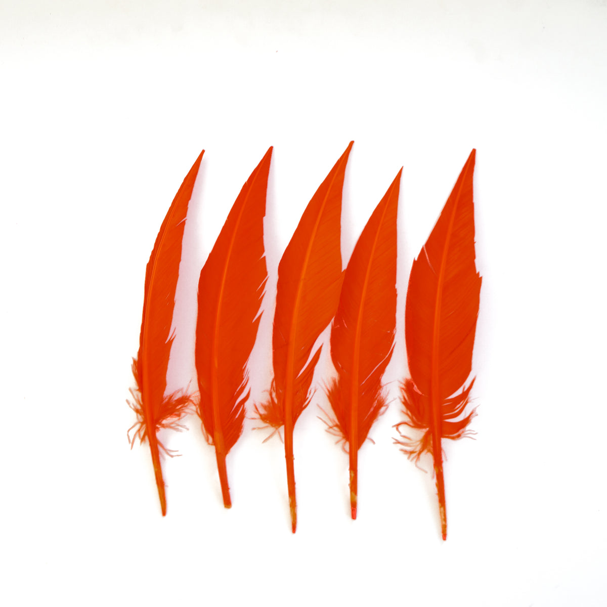 Orange Dagger Turkey Quill Feathers 9-12"