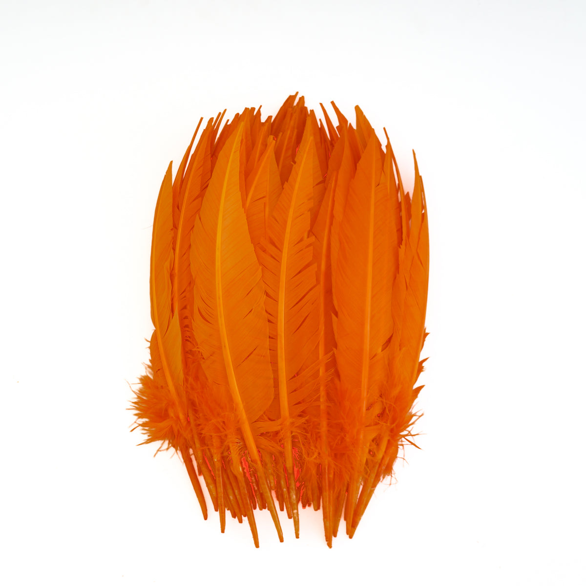 Mango Dagger Turkey Quill Feathers 9-12"