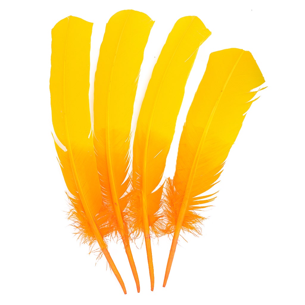Ombre Turkey Quill Feathers 10-12"   Dip  .25 lb - Gold Orange