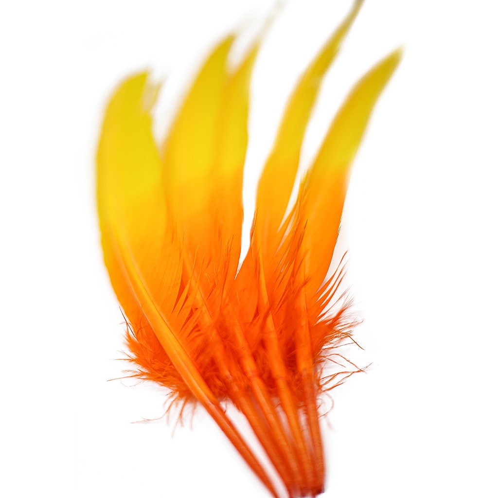Ombre Turkey Quill Feathers 10-12"   Dip  .25 lb - Gold Orange