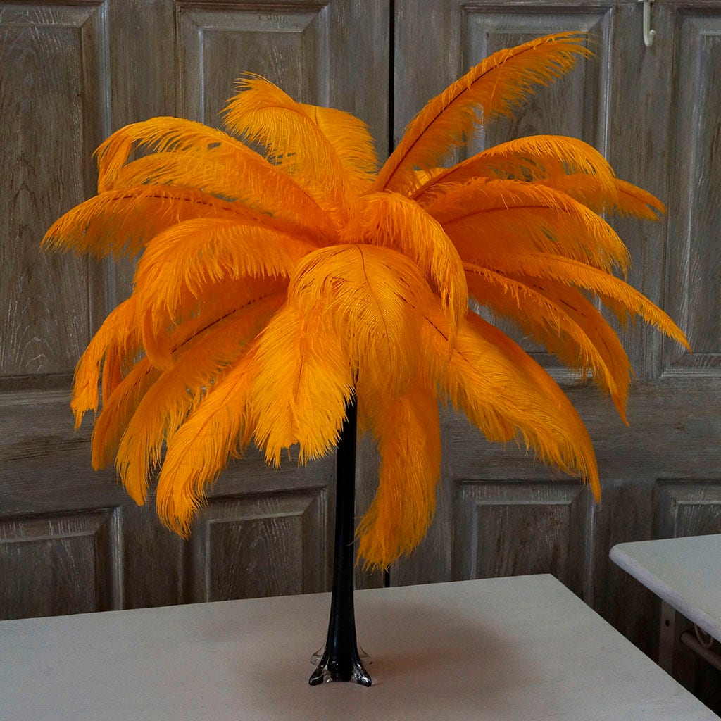 Large Ostrich Feathers - 17"+ Drabs - Mango