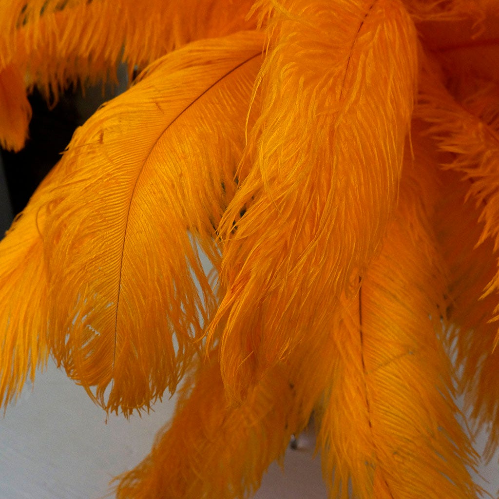 Large Ostrich Feathers - 17"+ Drabs - Mango