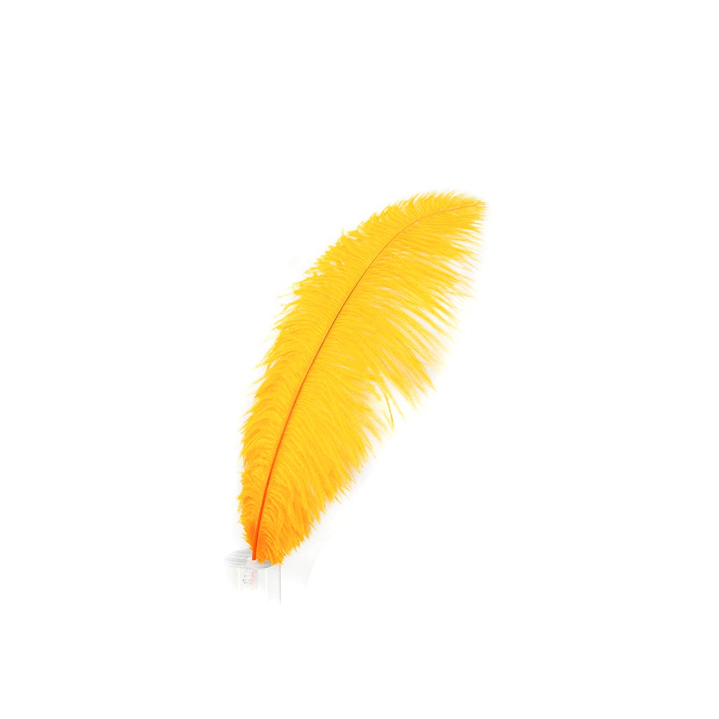 Large Ostrich Feathers - 17"+ Drabs - Mango