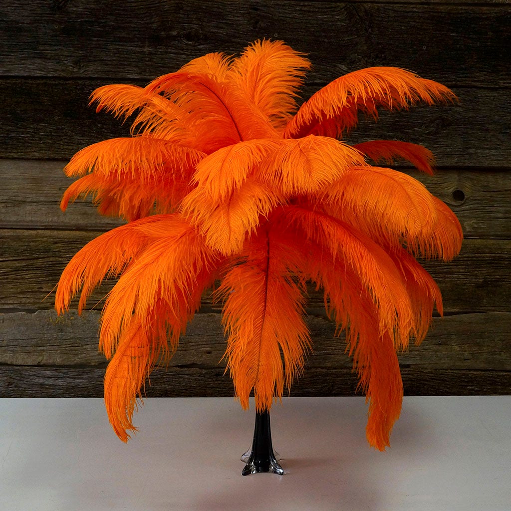 Large Ostrich Feathers - 17"+ Drabs - Orange