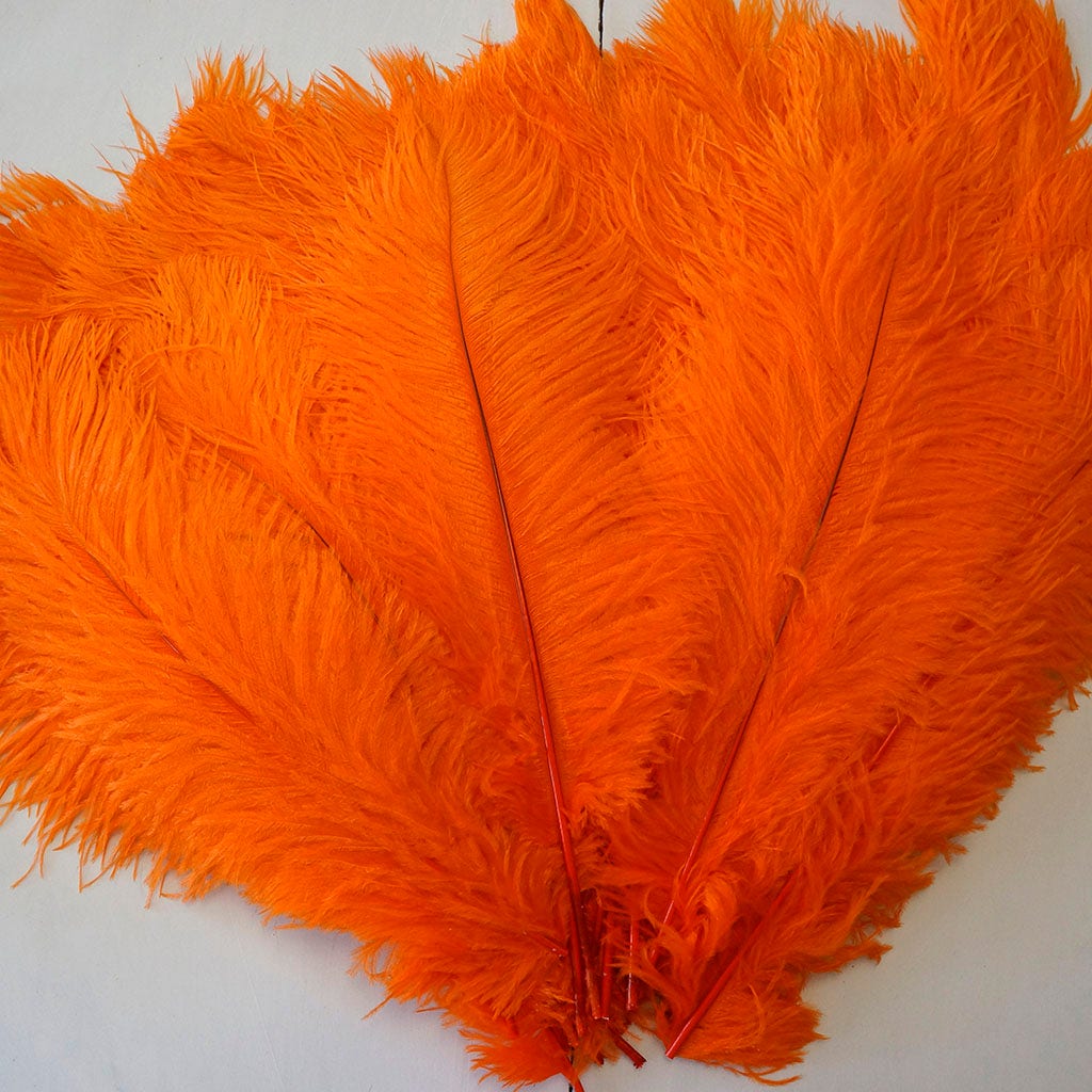 Large Ostrich Feathers - 17"+ Drabs - Orange