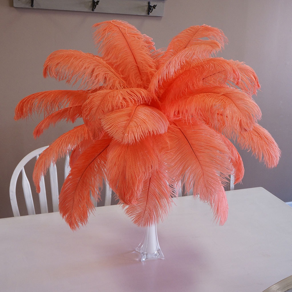 Large Ostrich Feathers - 17"+ Drabs - Hot Orange