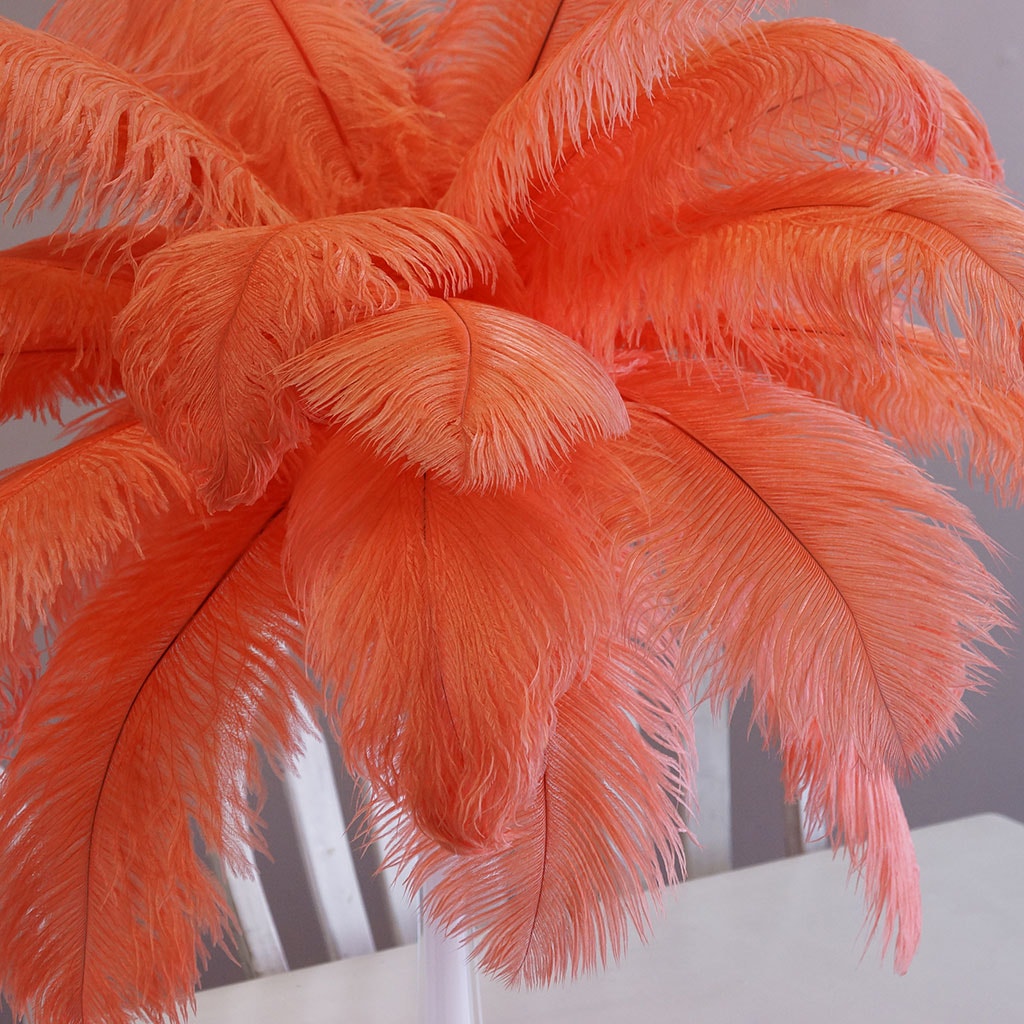 Large Ostrich Feathers - 17"+ Drabs - Hot Orange