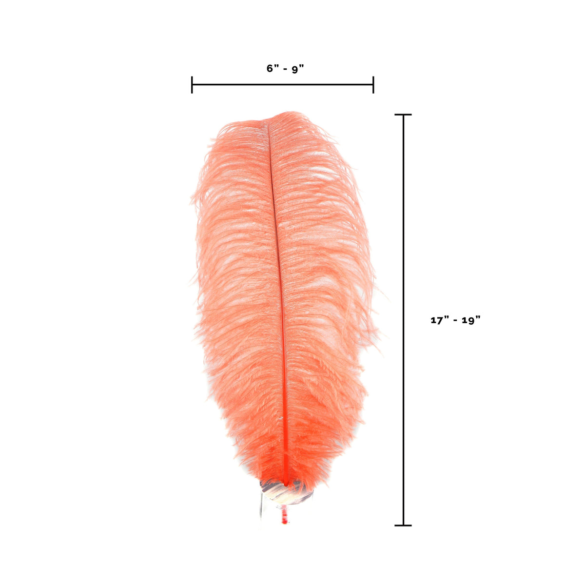 Large Ostrich Feathers - 17"+ Drabs - Hot Orange