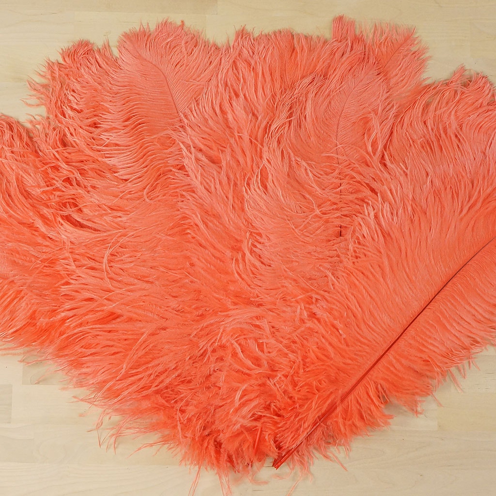 Large Ostrich Feathers - 17"+ Drabs - Hot Orange
