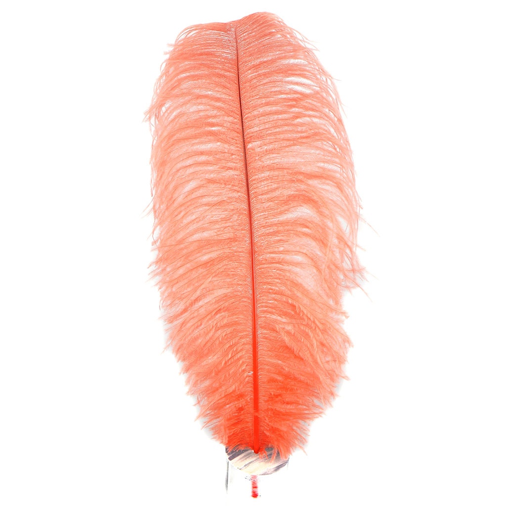 Large Ostrich Feathers - 17"+ Drabs - Hot Orange