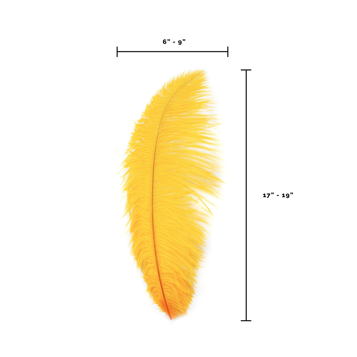 Large Ostrich Feathers - 17"+ Drabs - Mango
