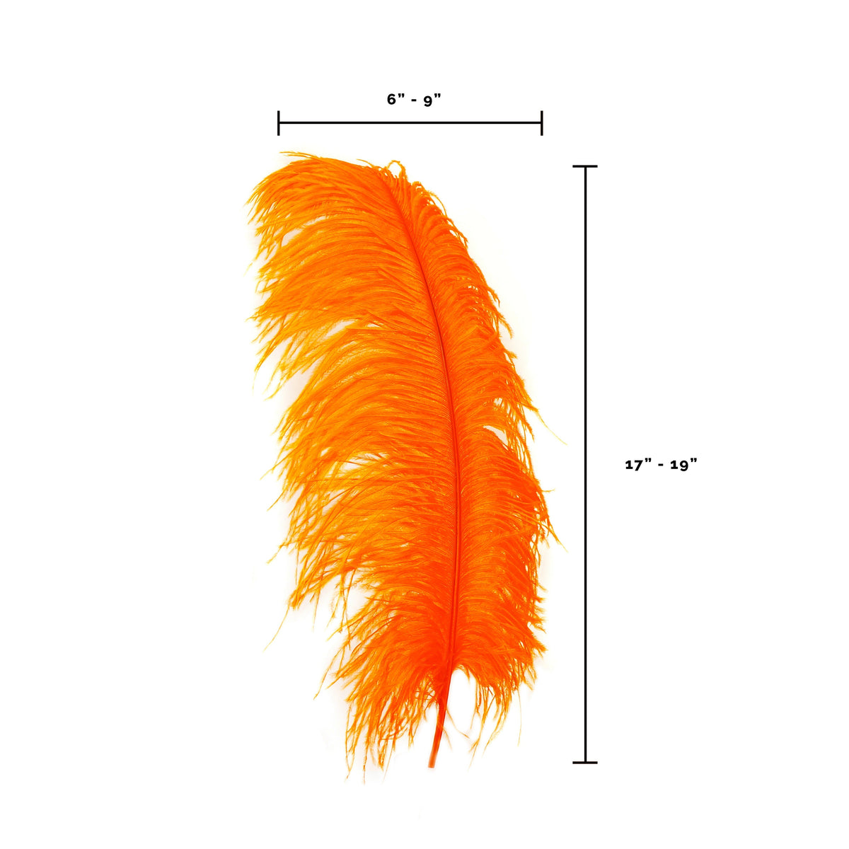 Large Ostrich Feathers - 17"+ Drabs - Orange