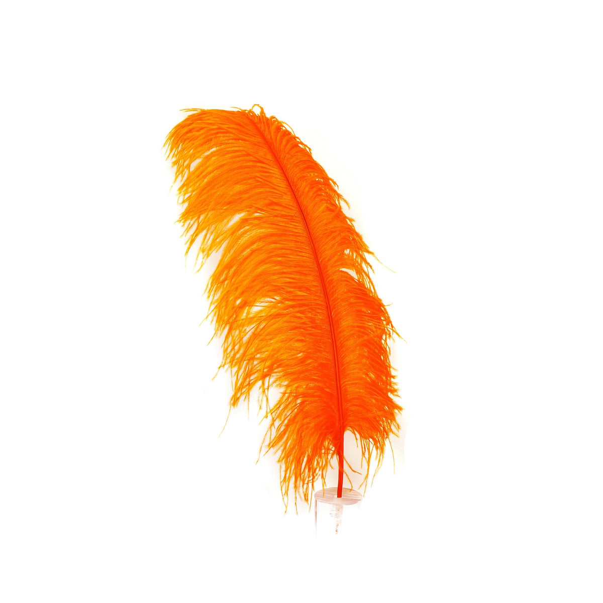 Large Ostrich Feathers - 17"+ Drabs - Orange